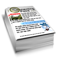 Flyers Brochures (Digital)
