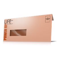 Envelopes - Window