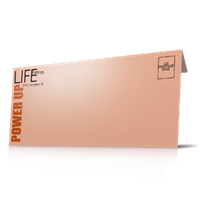 Envelopes - Business 4 Color